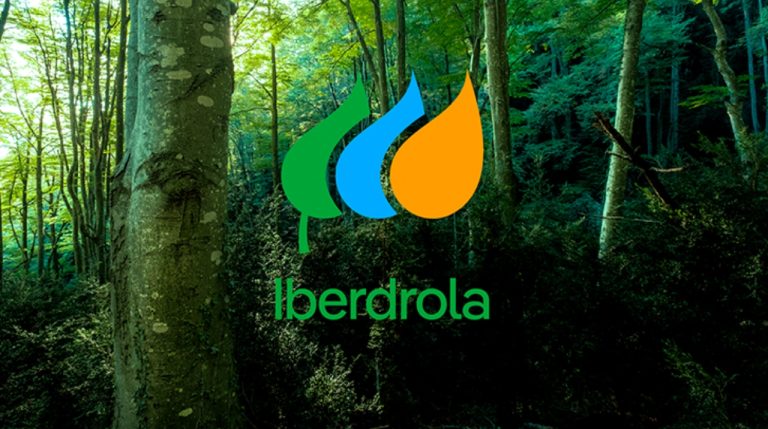 Así es el compromiso de Iberdrola con la sostenibilidad y transición energética