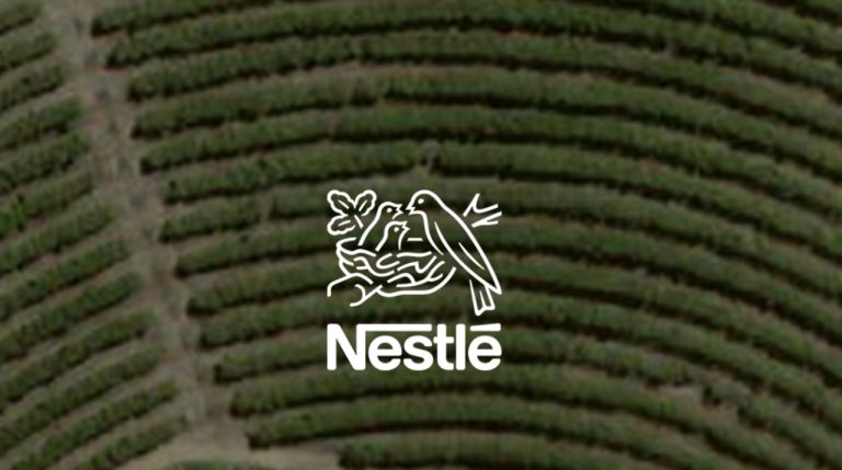 Nestlé España revela que ha invertido 56 millones de euros en sostenibilidad durante los últimos 5 años