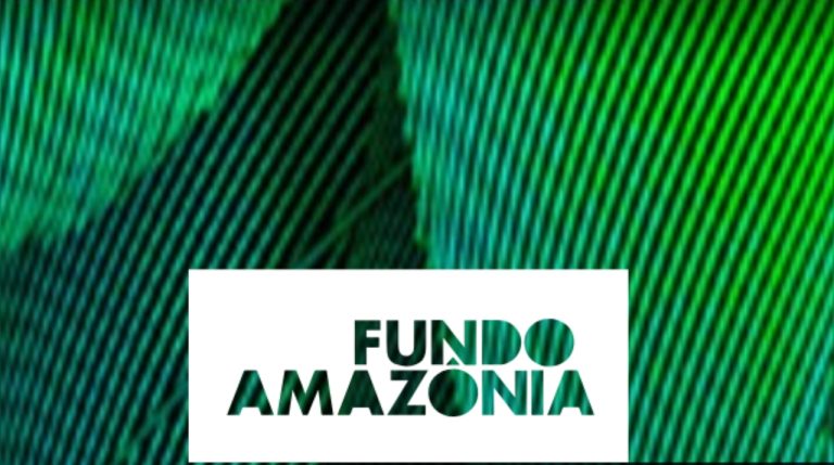 Japón dona 14 millones de reales al Fondo Amazonía