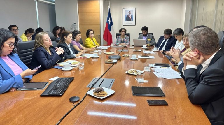 Chile aprueba creación de una red de salares protegidos