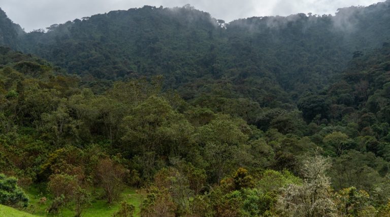 Colombia destina $750 millones a programas de control social ambiental