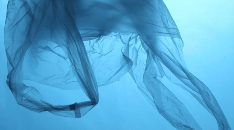 Nestlé se compromete a tener más del 95% de sus envases de plástico para reciclaje en Chile