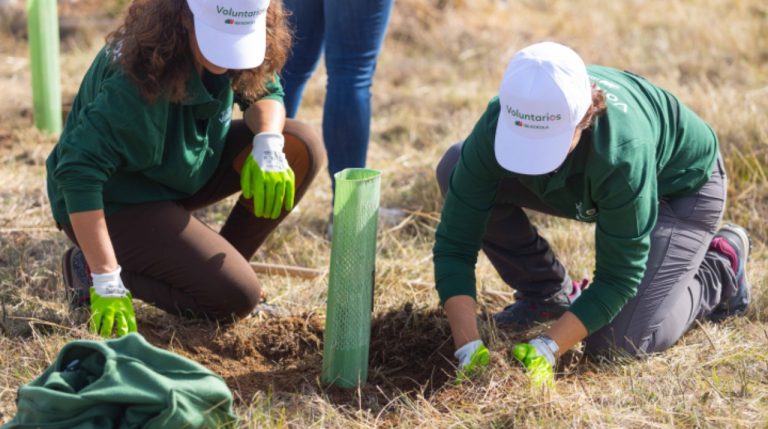 Iberdrola plantará 20 millones de árboles de cara a 2030