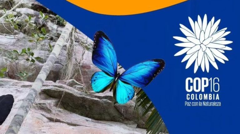 Colombia dio a conocer cuatro prioridades para la COP16