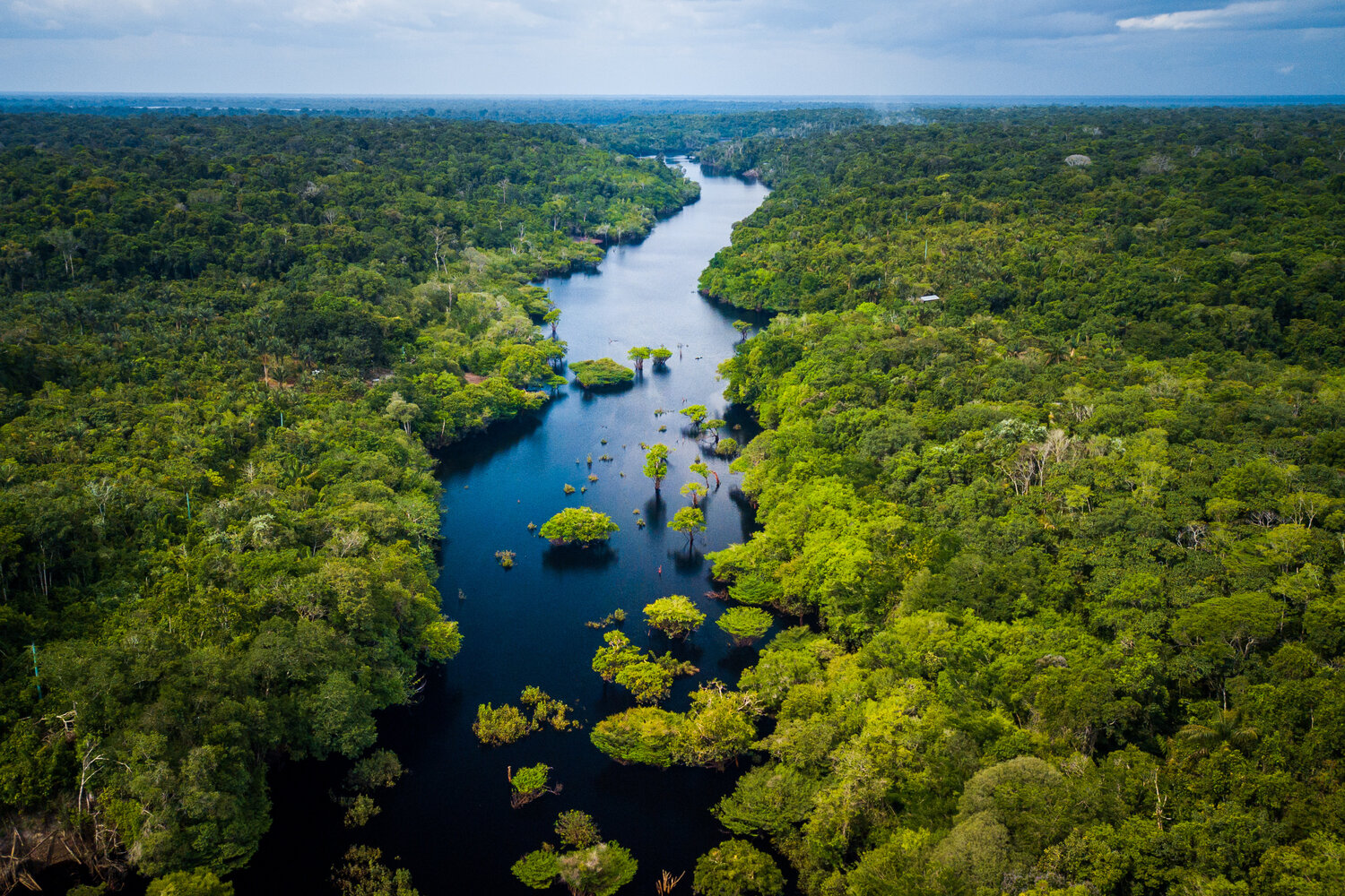 Amazonia