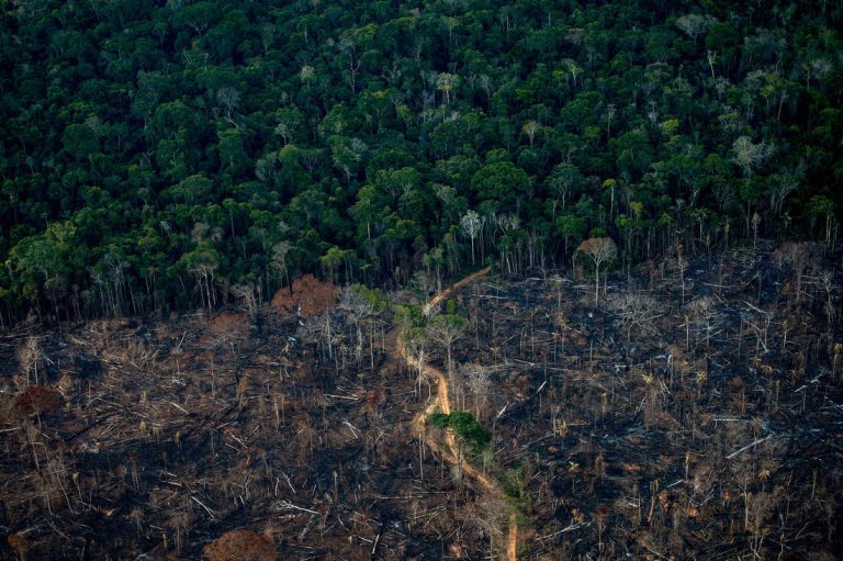 Brasil