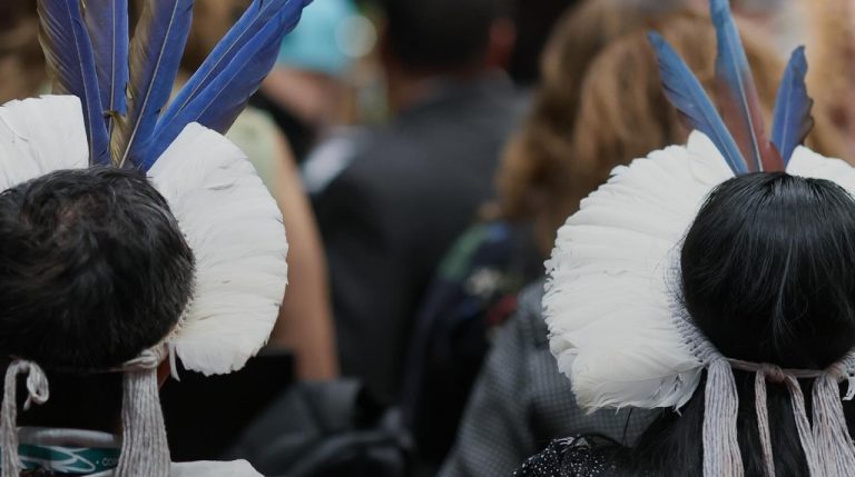 La COP16 sobre Biodiversidad crea organización para pueblos indígenas: Reconoce su papel en la protección de la naturaleza