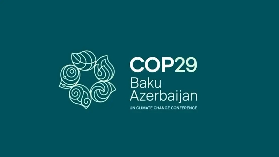 COP29