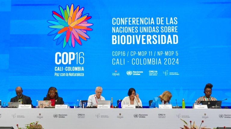 Acuerdos alcanzados en Cali durante la COP16: Fondos, reconocimientos, estrategias y más