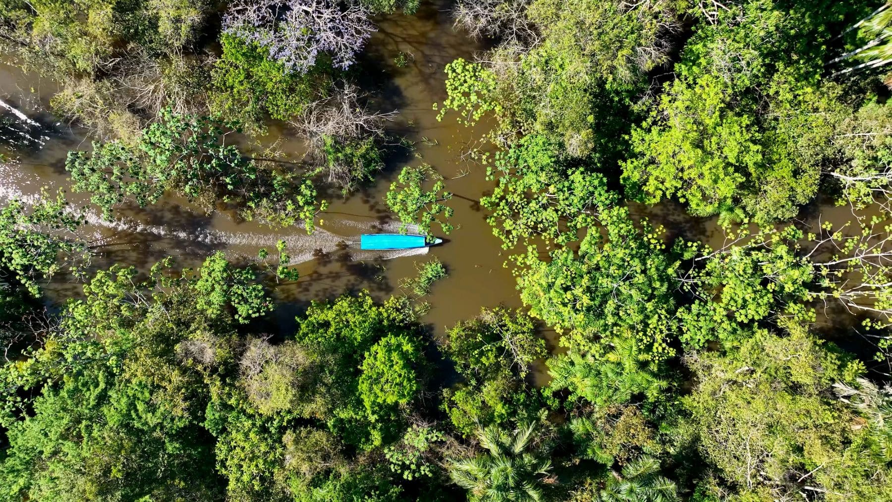 Amazonía