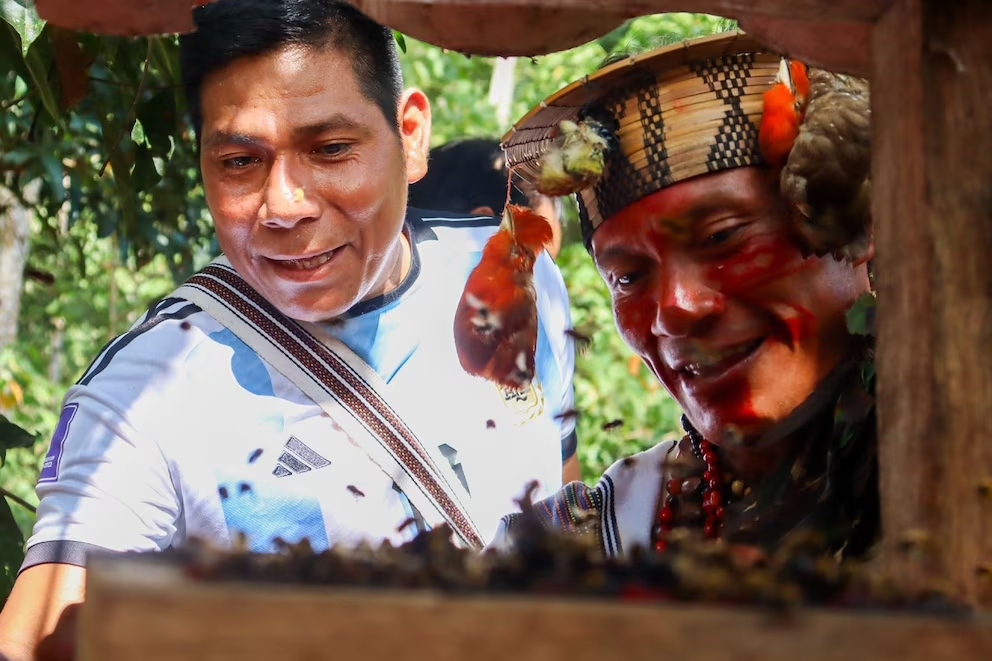 Abejas sin aguijón