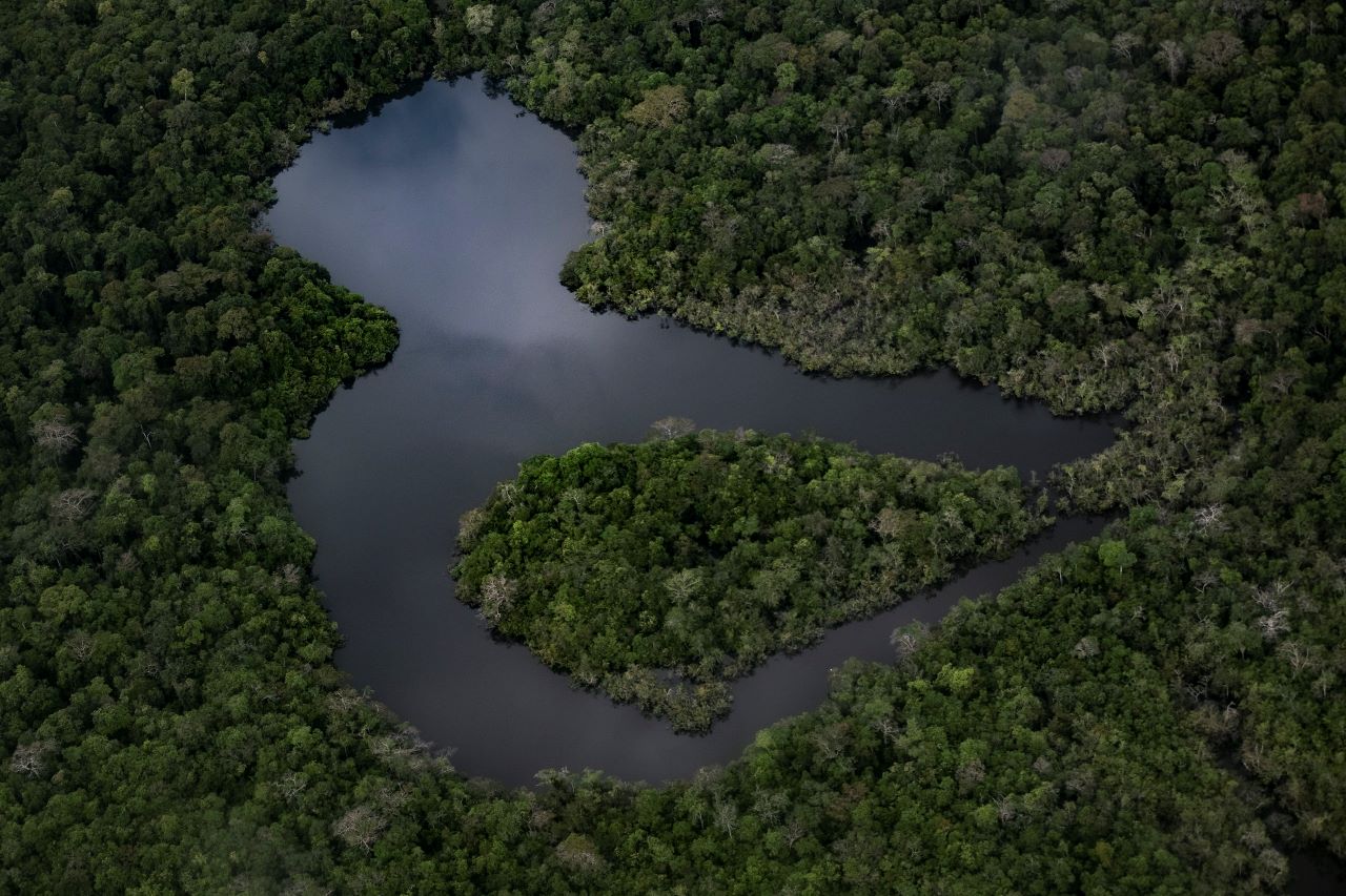 Fondo Bosques Tropicales para Siempre