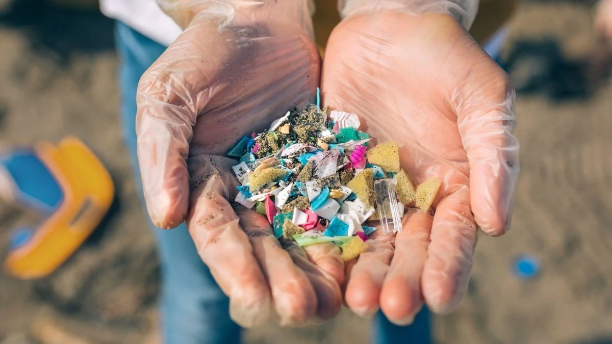 microplásticos en el mar