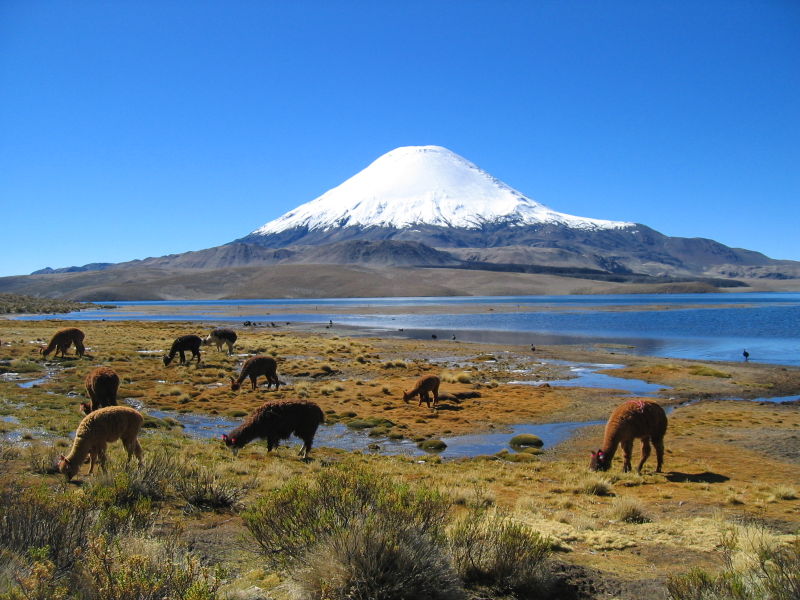 Chile