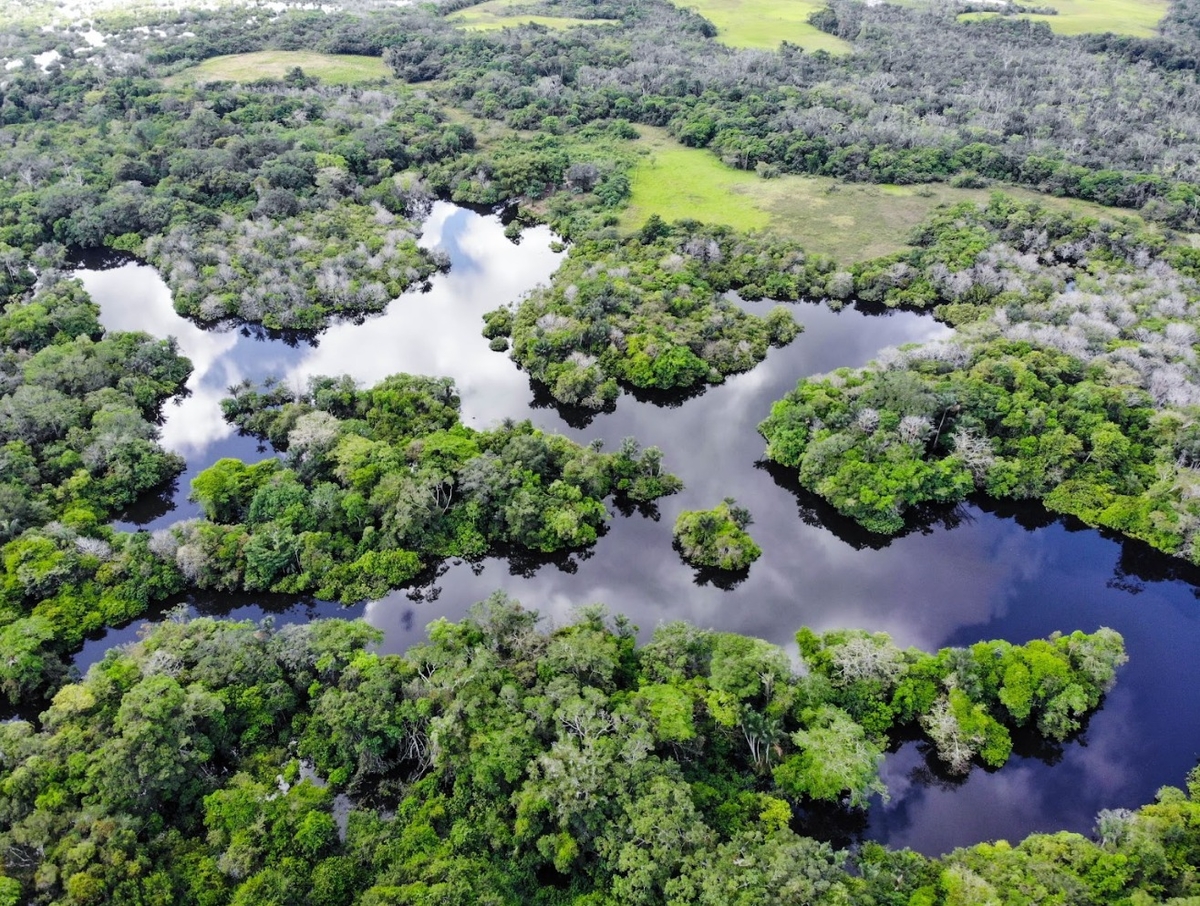 Amazonia